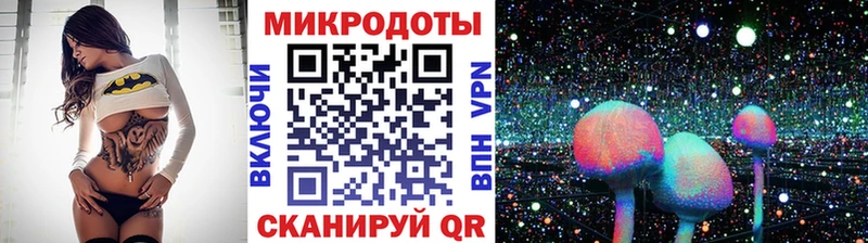 Псилоцибиновые грибы мицелий  где купить   Шарья 